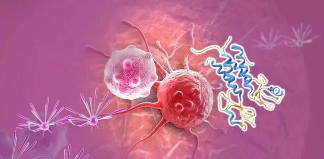 【盘点】高选择性mTOR抑制剂的研究进程_凯时首页生物医药