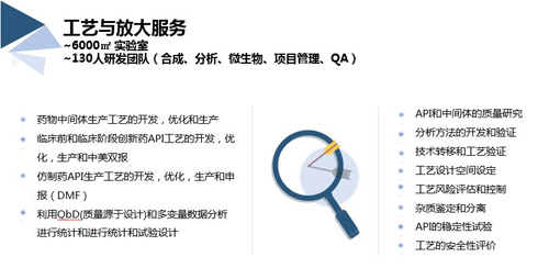 凯时首页工艺与放大服务