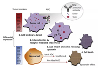 浅析：ADC药物的抗癌之路