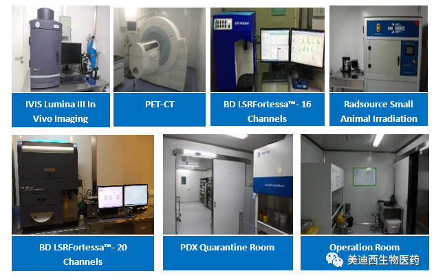 凯时首页药理部拥有IVIS Lumina III, PET-CT, BD LSRFortessa-16, Flow Cytometry等仪器，提供符合申报，支持临床试验的药效评价服务。