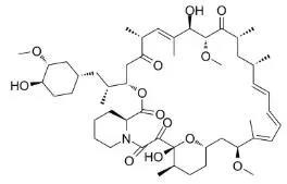 雷帕霉素新制剂用于罕见病，获4500万美元融资