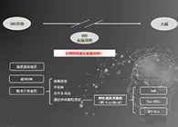 人工合成NT类脂质开放血脑屏障，为CNS药物打开新局面