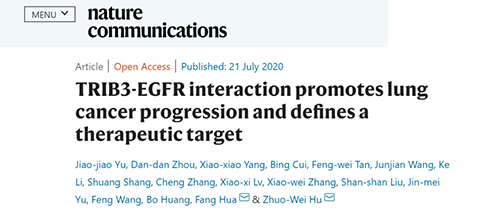 Nature|非小细胞肺癌治疗新方案：靶向降解EGFR