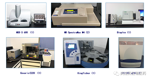 凯时首页生物技术药物分析部服务仪器