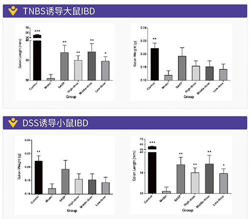 TNBS诱导的大鼠IBD、DSS诱导的大鼠IBD