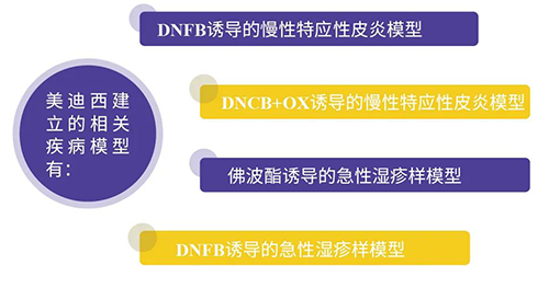 凯时首页建立的特应性皮炎及湿疹模型