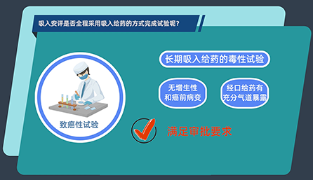 吸入安评是否全程采用吸入给药的方式完成试验呢？