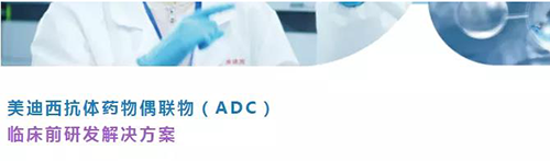 凯时首页抗体药物偶联物（ADC）临床前研发解决方案.png