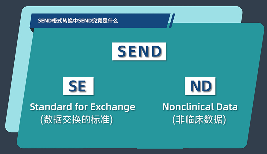 SEND格式转换中的SEND究竟是什么？