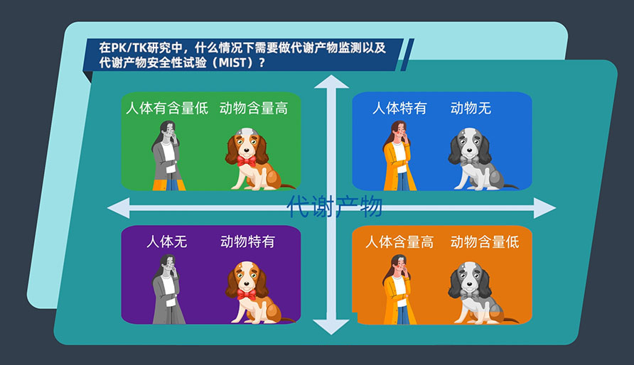 在PK-TK研究中，什么情况下需要做代谢产物监测以及代谢产物安全性试验（MIST）