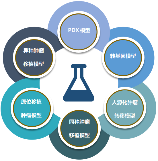 凯时首页致力于为客户提供成熟的评估ADC体内药效的肿瘤模型.png