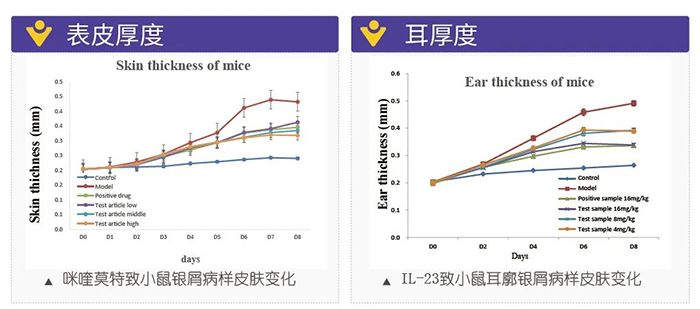 凯时首页模拟银屑病的建模模型-试验结果的指标.png