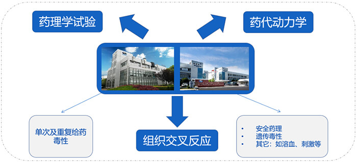 凯时首页ADC药物研发服务内容.jpg