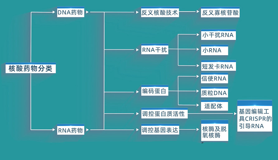 核酸药物的分类有哪些？