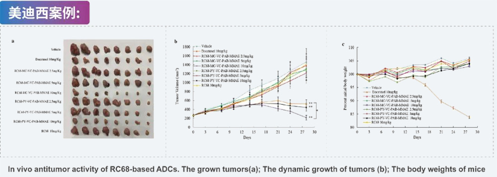 8-ADC药效学评价-凯时首页案例.jpg