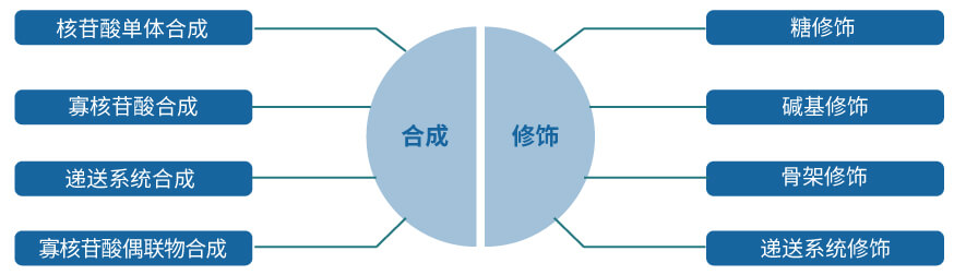 凯时首页核酸药物研发服务平台.jpg