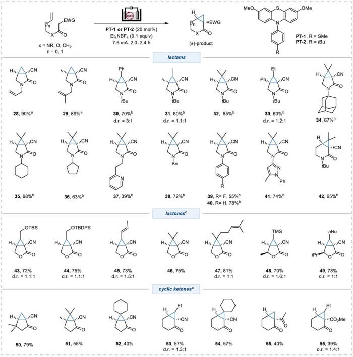 6-Substrate-scope-for-cyclopropane-fused-lactams,-lactones,-and-cyclic-ketones.jpg