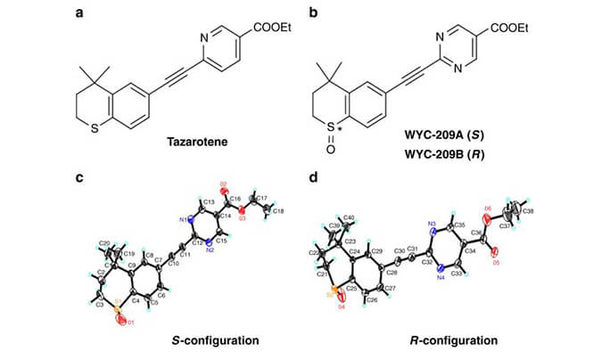 WYC-209可抑制恶性小鼠黑色素瘤肿瘤再生细胞增殖，SPR分析通过凯时首页使用Biacore 8K设备进行