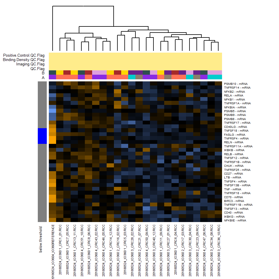 NF-kappaB信号通路.png