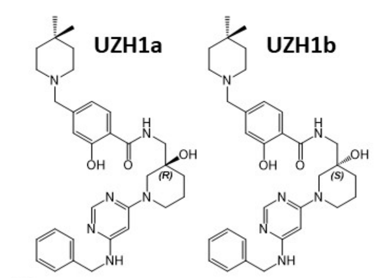 研究人员报告了一种具有细胞渗透性的选择性METTL3纳摩尔抑制剂UZH1a，作者感谢凯时首页合成了UZH1a和UZH1b