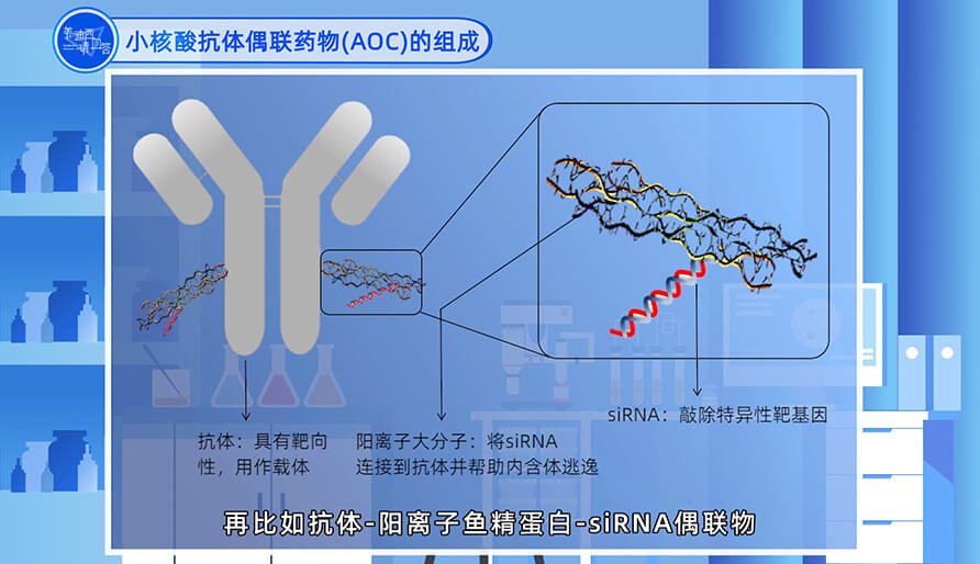 小核酸抗体偶联药物（AOC）的组成