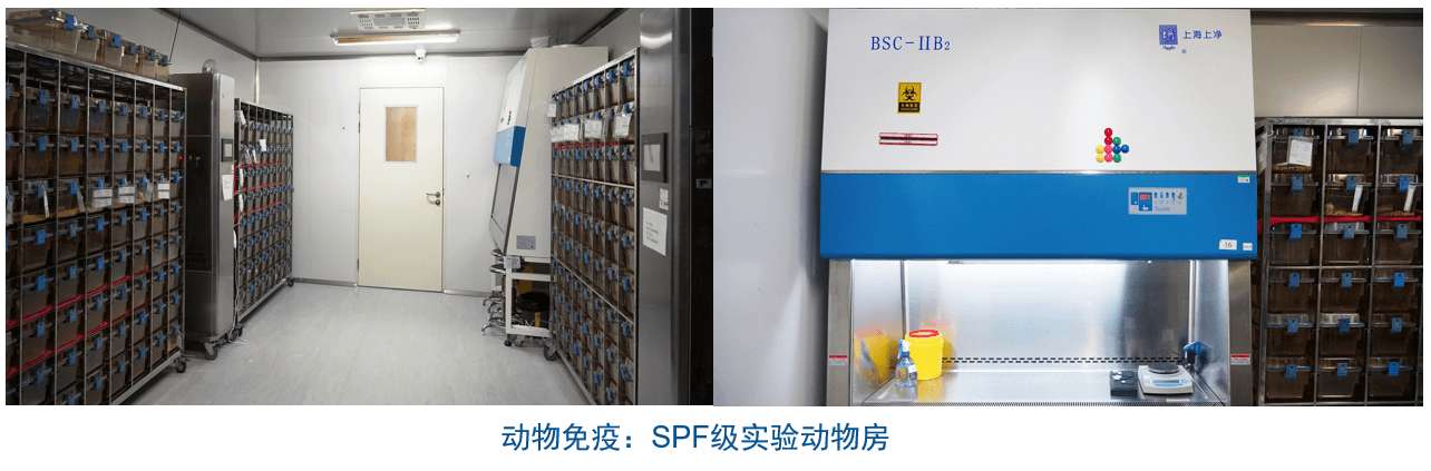 凯时首页杂交瘤技术平台设备-动物免疫SPF级实验动物房