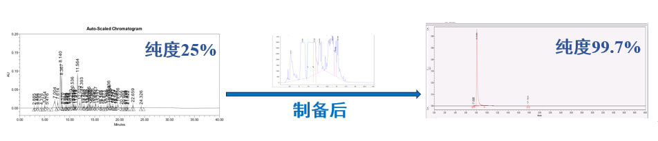 案例一：仿制药发补：大极性杂质制备.jpg