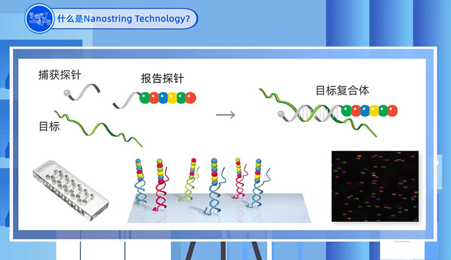 什么是Nanostring 技术？