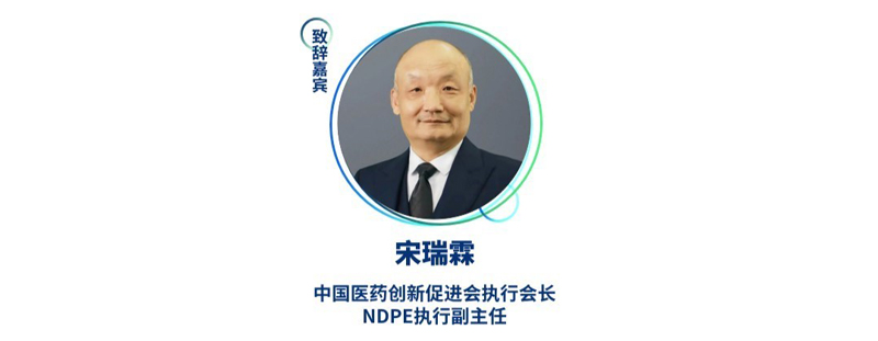 宋瑞霖--中国医药创新促进会执行会长、NDPE执行副主任.jpg