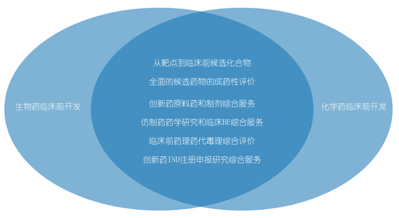 凯时首页生物药物研发和化学药物研发.jpg